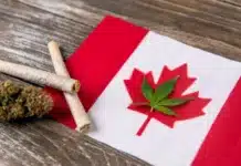 Cannabis and Canadian flag Canada