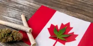 Cannabis and Canadian flag Canada