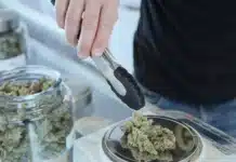 Cannabis dispensary Ontario
