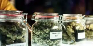Cannabis dispensary jars NY cannabis