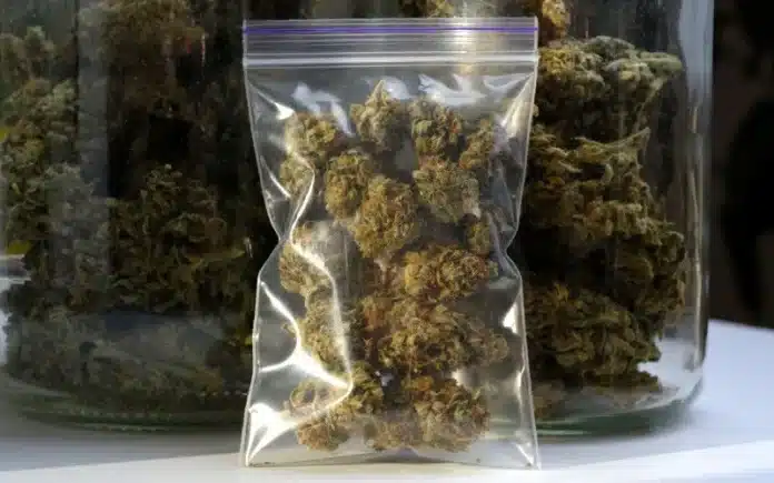 Cannabis in jars and bag White Earth