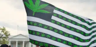 US flag cannabis legal weed