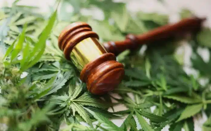 cannabis and gavel legalize