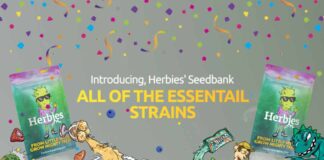 main-page-herbies Nov 2023 Herbies