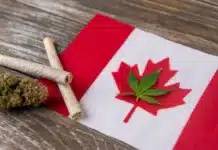 Canadian flag bud joints and leaf pot shops