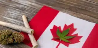 Canadian flag bud joints and leaf pot shops