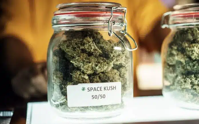 Jar of cannabis buds in dispensary Mississippi Medical Marijuana