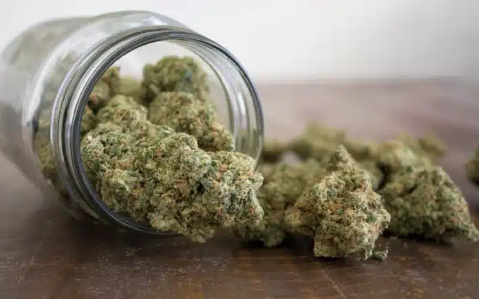 Jar spilling cannabis nugs Ohio's