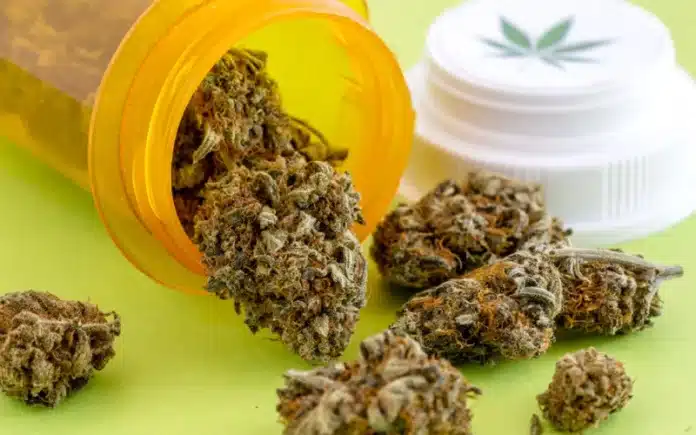 Medical marijuana buds Alabama judge