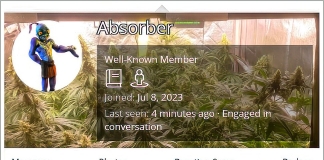 420 Magazine's Member of the Month January 2024 - Absorber