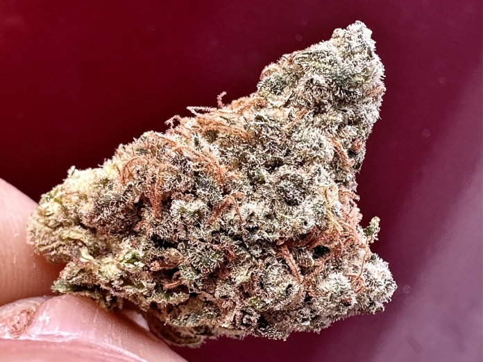 420 Magazine's Nug of the Month February 2024 - Skywalker by Jon